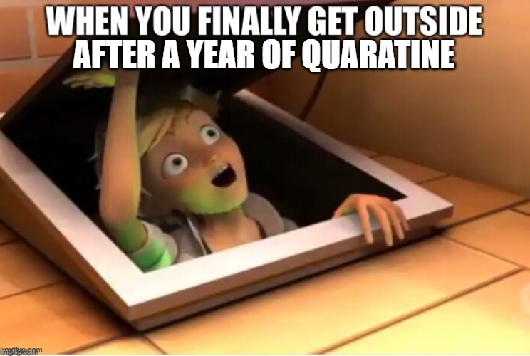 Meme 9